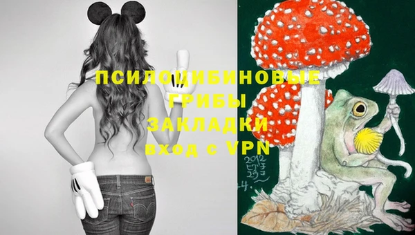 твердый Новокубанск